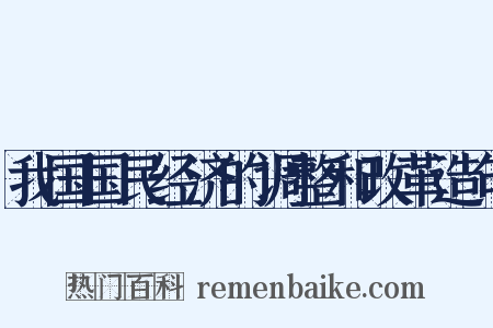 我国国民经济的调整和改革造句是什么意思的图片